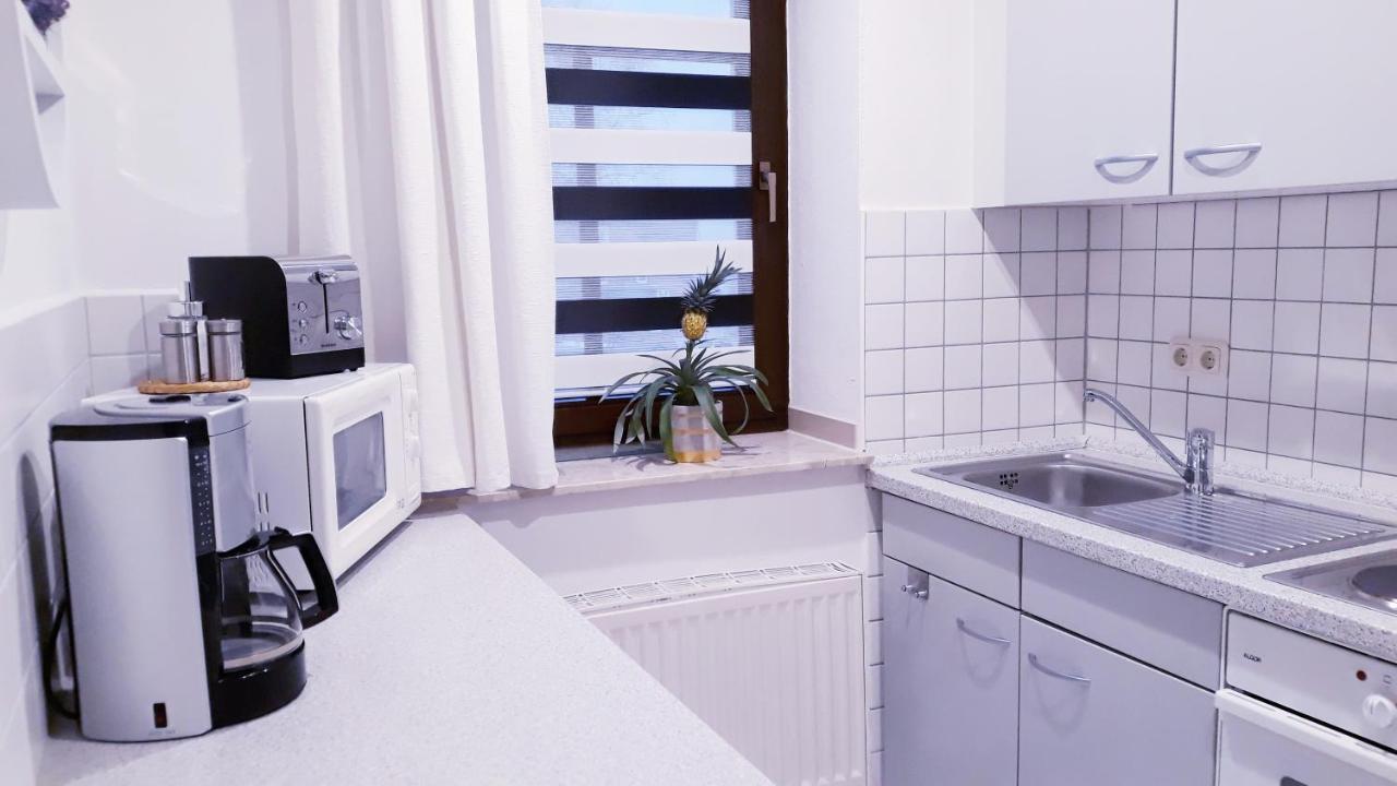 Apartments - Lehmanns Ferienwohnungen Oberwiesenthal Zewnętrze zdjęcie