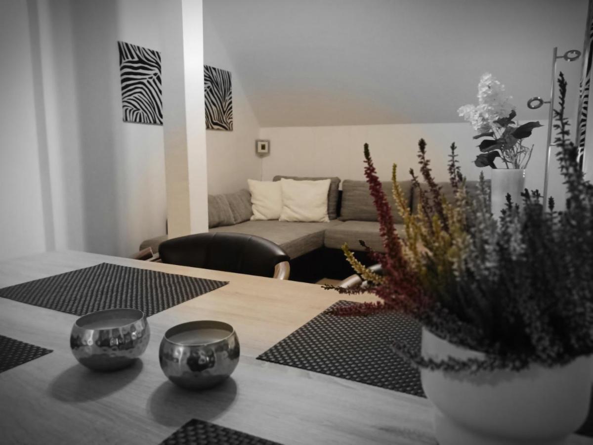 Apartments - Lehmanns Ferienwohnungen Oberwiesenthal Zewnętrze zdjęcie