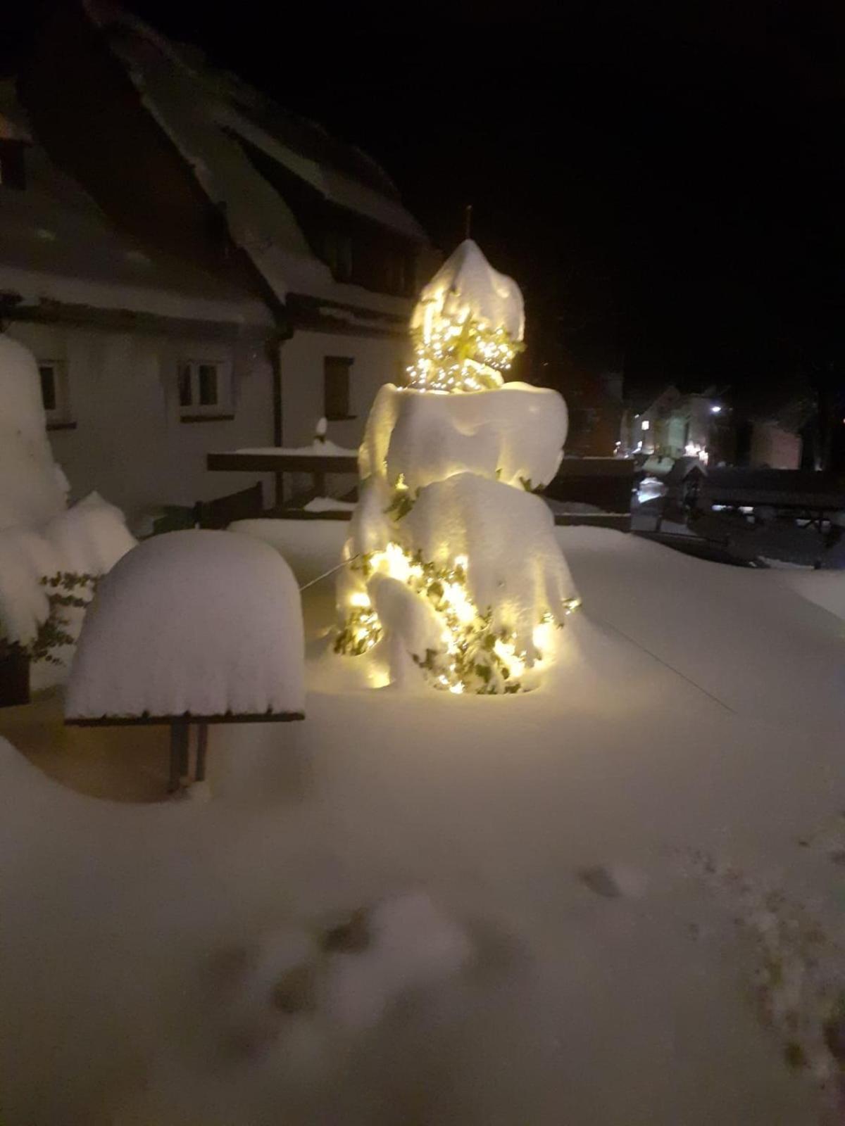 Apartments - Lehmanns Ferienwohnungen Oberwiesenthal Zewnętrze zdjęcie