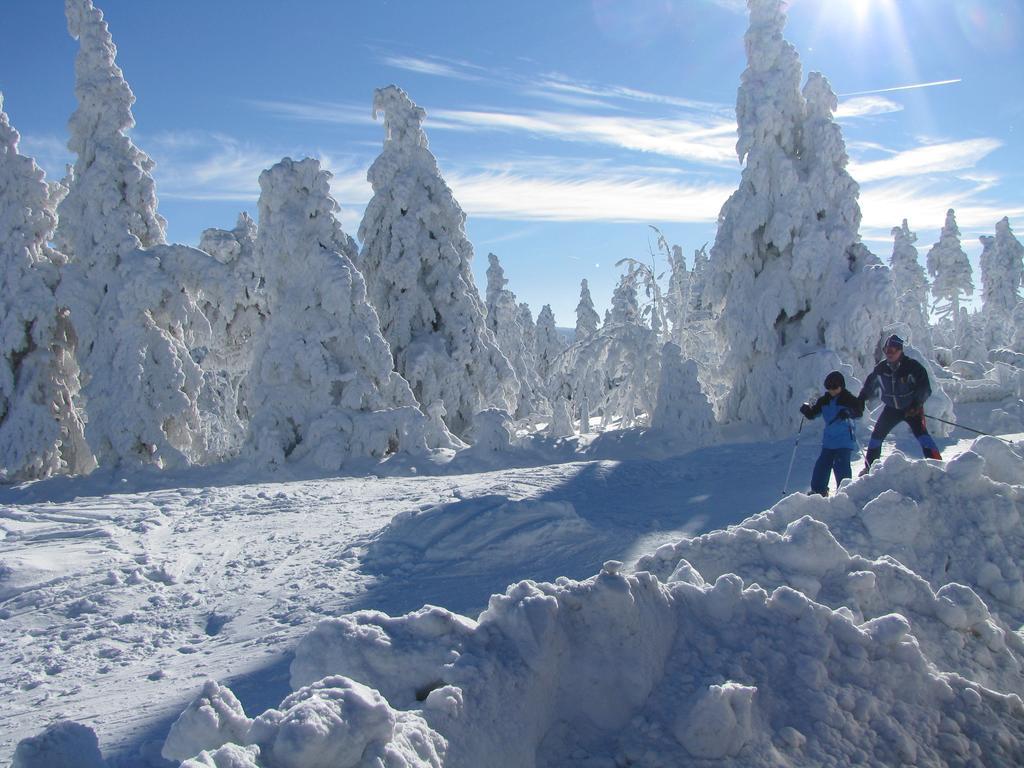 Apartments - Lehmanns Ferienwohnungen Oberwiesenthal Zewnętrze zdjęcie