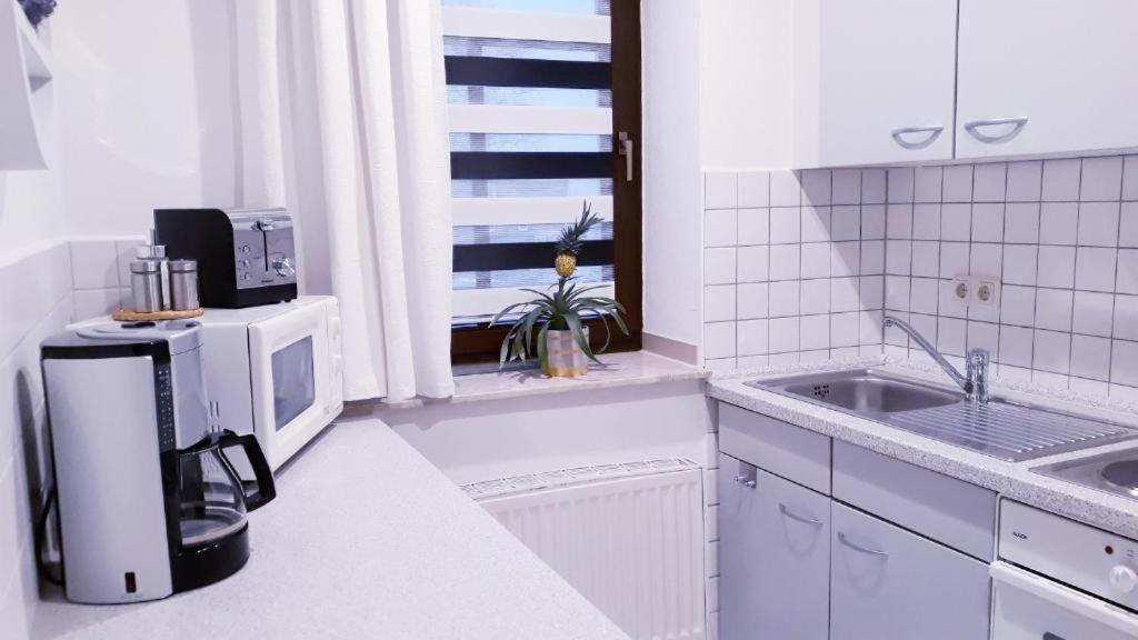 Apartments - Lehmanns Ferienwohnungen Oberwiesenthal Zewnętrze zdjęcie