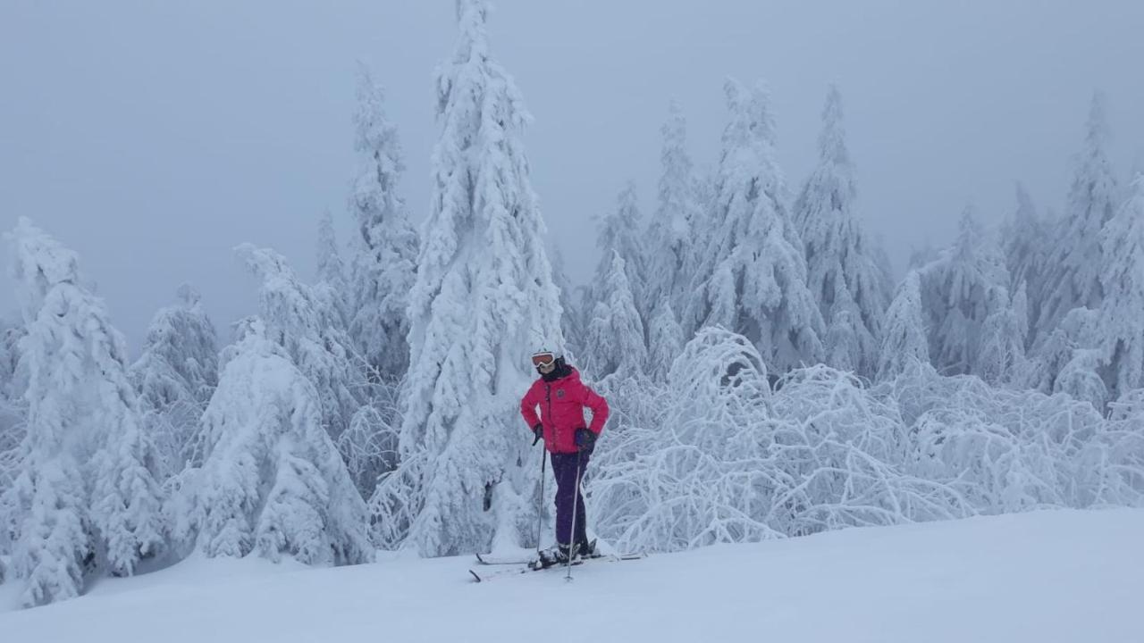 Apartments - Lehmanns Ferienwohnungen Oberwiesenthal Zewnętrze zdjęcie